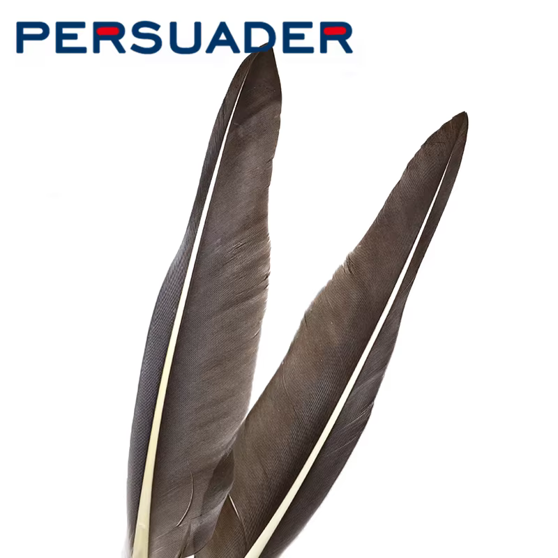 Plumas de Pato Persuader Grado A para Atado de Moscas - imagen 4