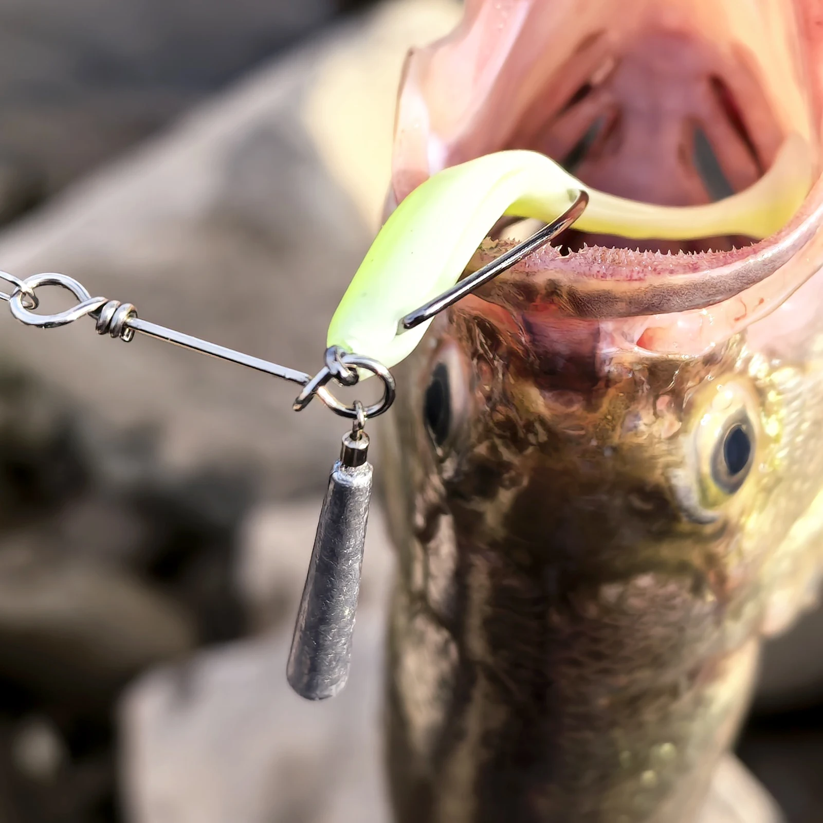 Free Fisher plomos con anzuelo para drop shot y vinilo