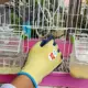 Guantes de pesca antideslizantes transpirables, manopla rosa-azul-amarillo - imagen 3