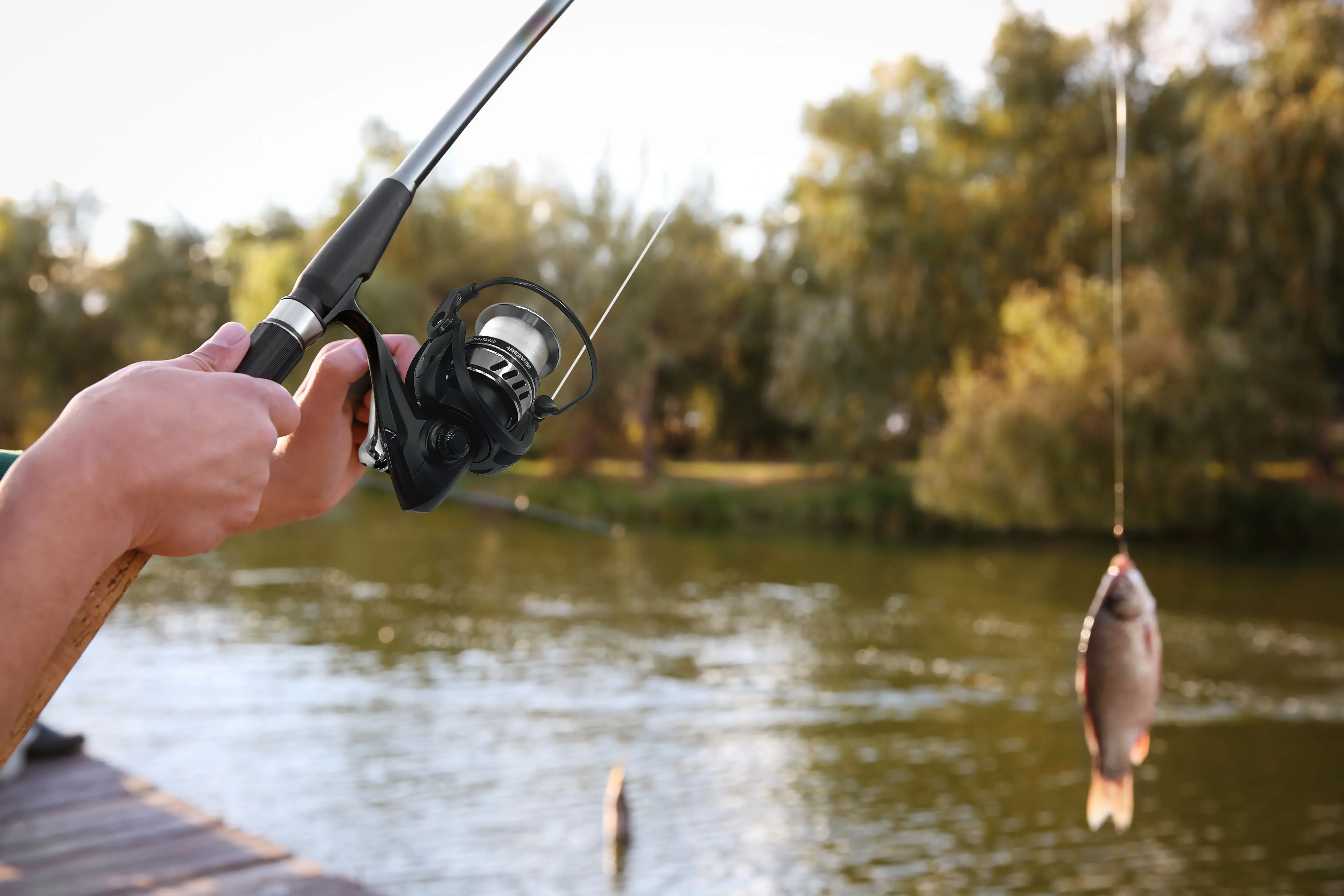 Carrete Ashconfish serie 5000 vista frontal