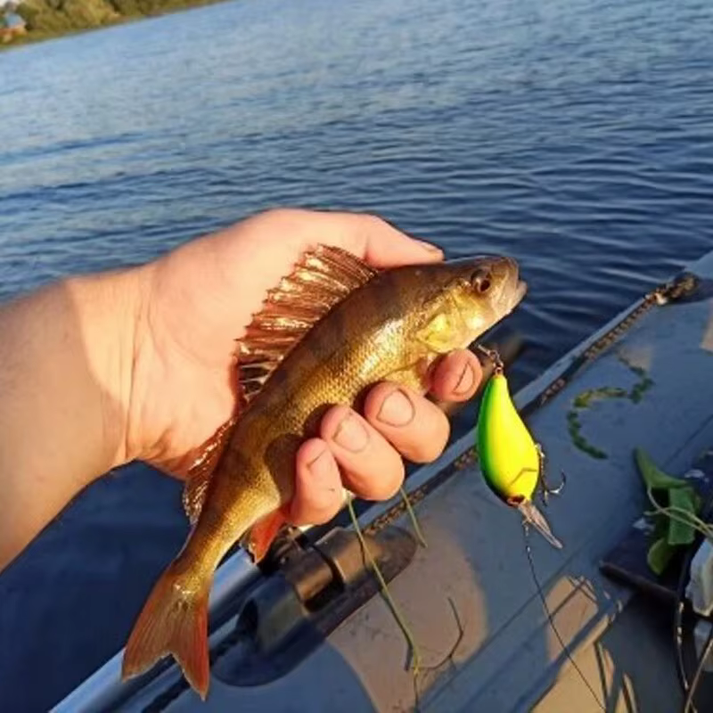Wobbler con manivela y ojos 3D – Señuelo Minnow para lubina y lucio - imagen 5