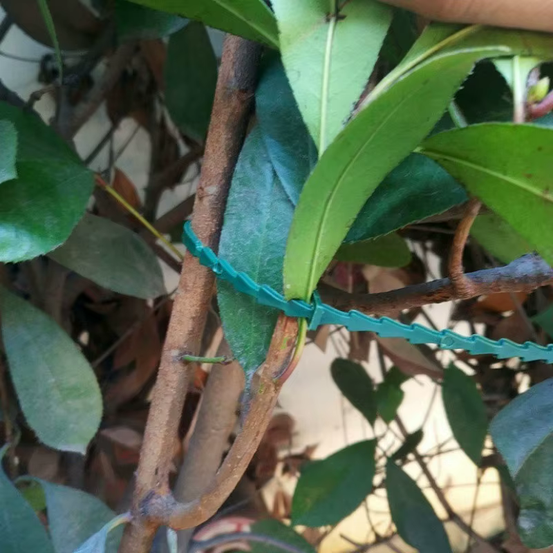 Clip de fijación para tallo – Brida de nilón reutilizable para pesca - imagen 3