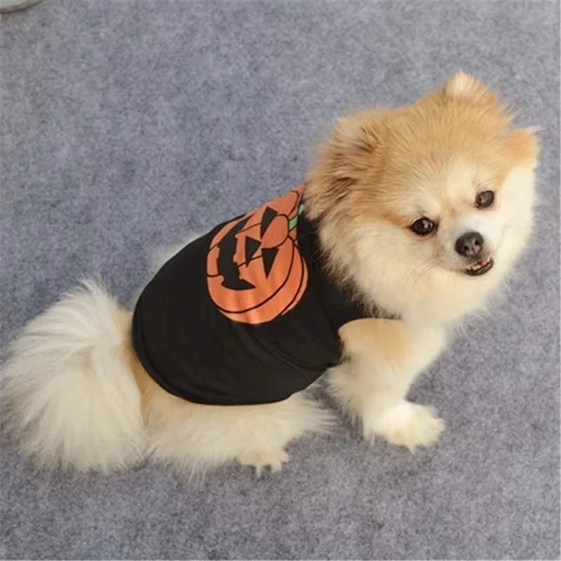 Disfraz de Halloween para perro con diseño de calabaza