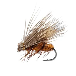 Mosca seca para trucha – Caddis, Panfish