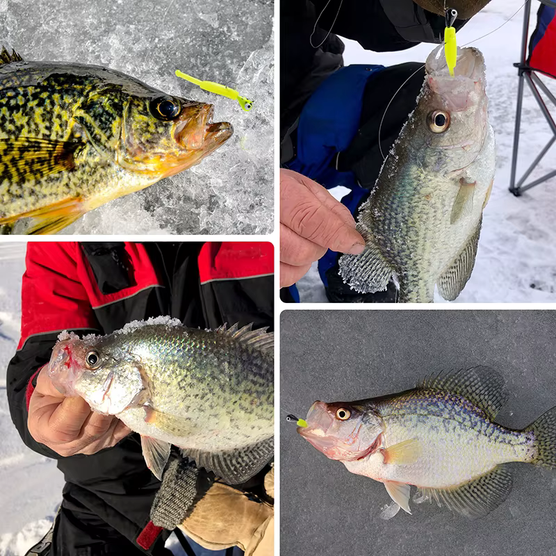 Goture Jig tungsteno para pesca en hielo con señuelos blandos - imagen 5