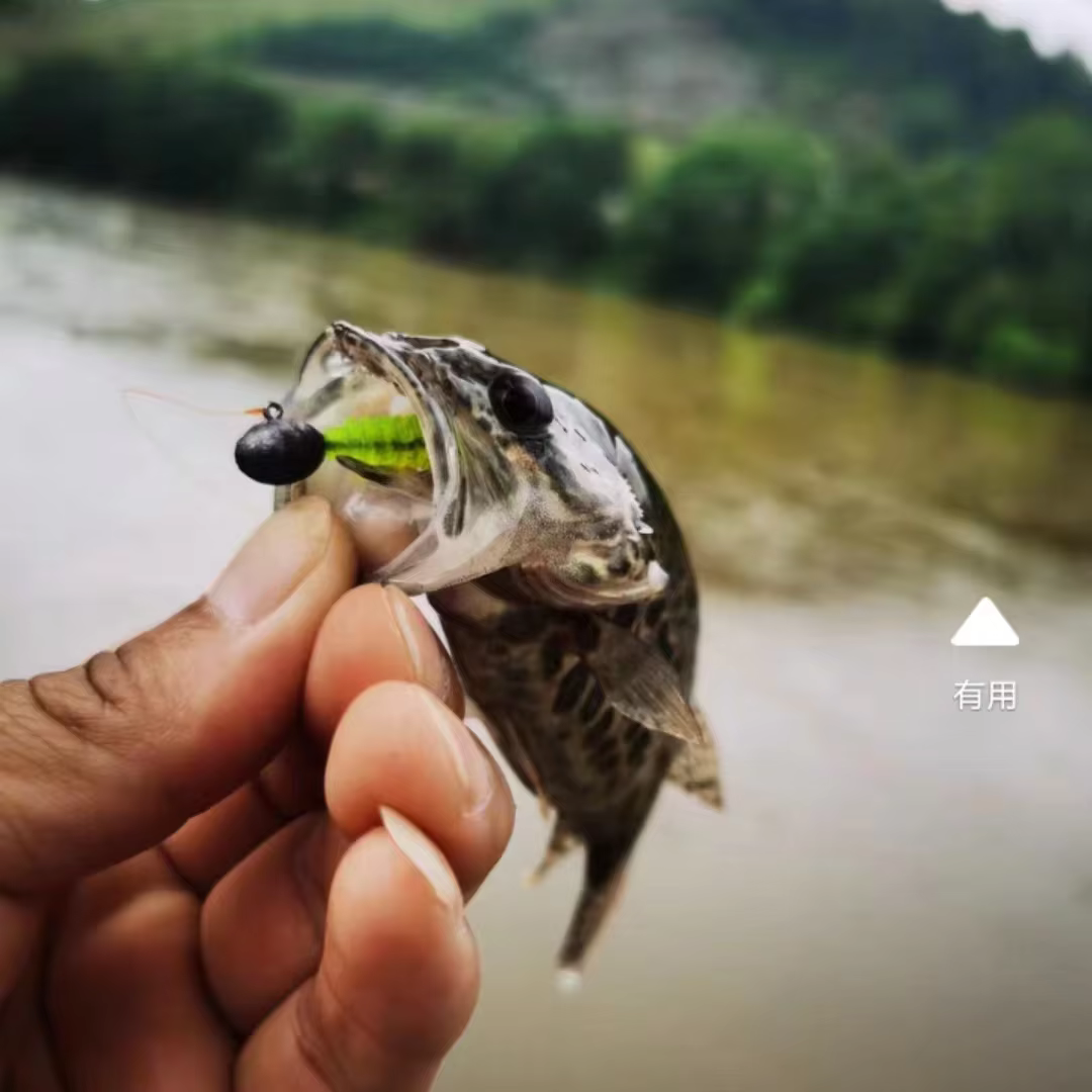Sunmile Vinilos para Trucha – Soft Bait - imagen 5