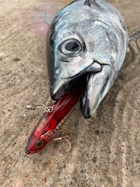 Kingdom VIB señuelo artificial para pesca