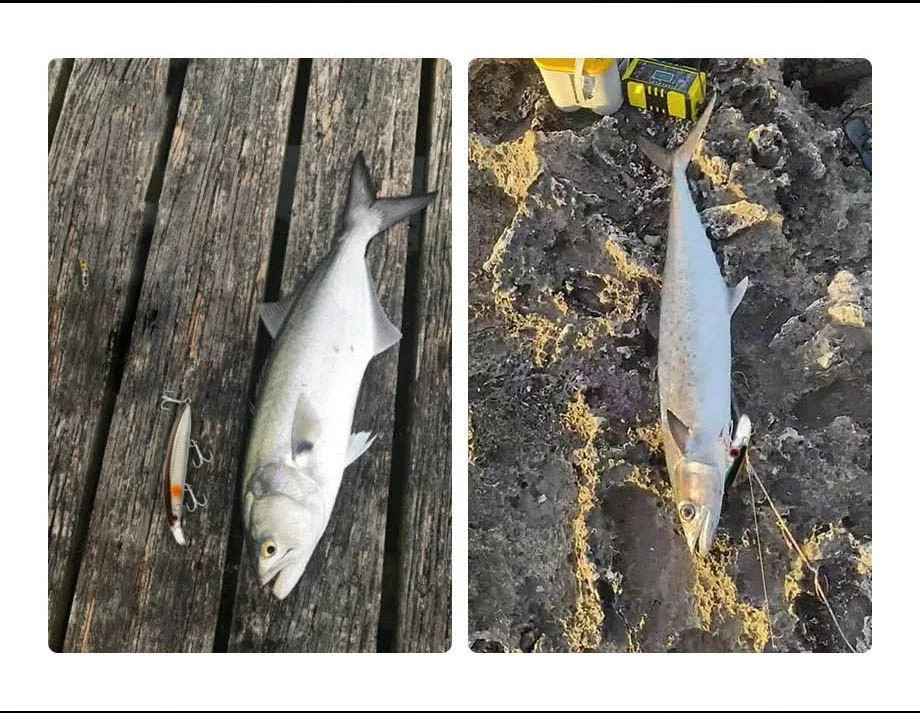 Limpieza del señuelo después de la jornada de pesca