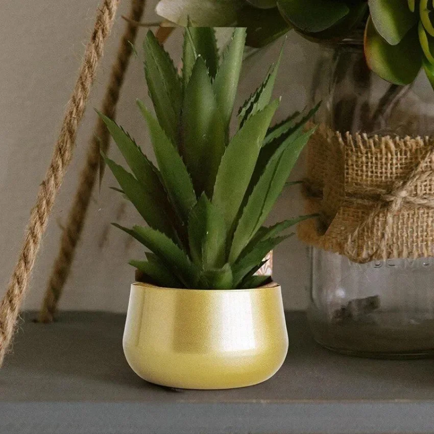 Jardinera baja de metal, ideal para plantas verdes