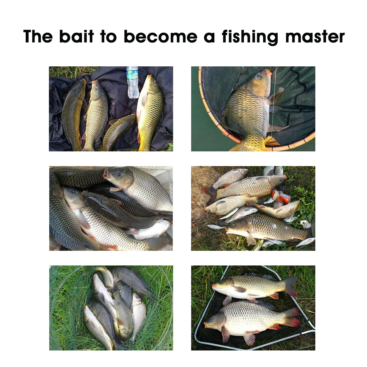 Pesca King Cebo masa de pescado juvenil para pesca en agua libre - imagen 4