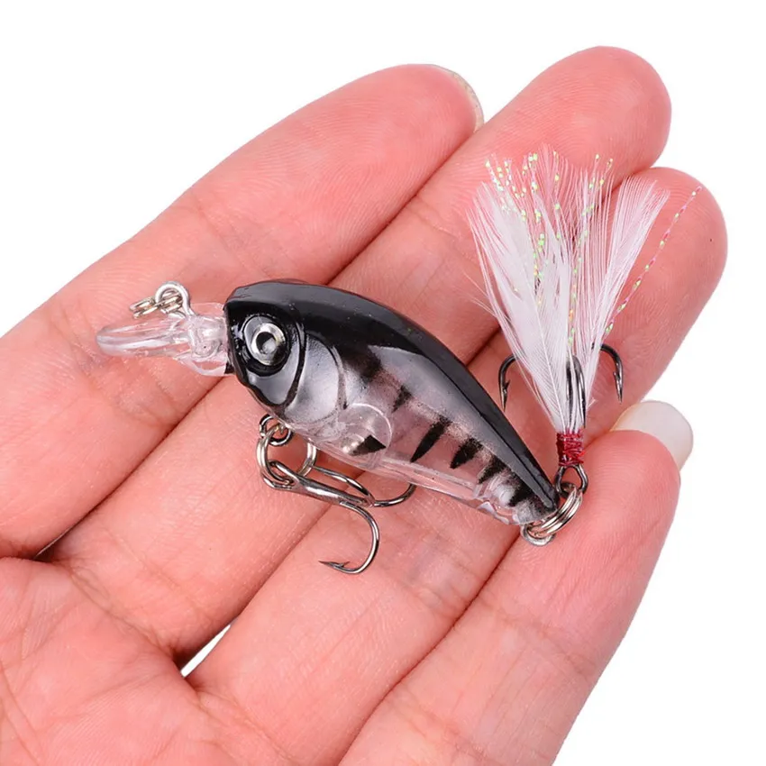 Pack de 5 unidades en distintos colores