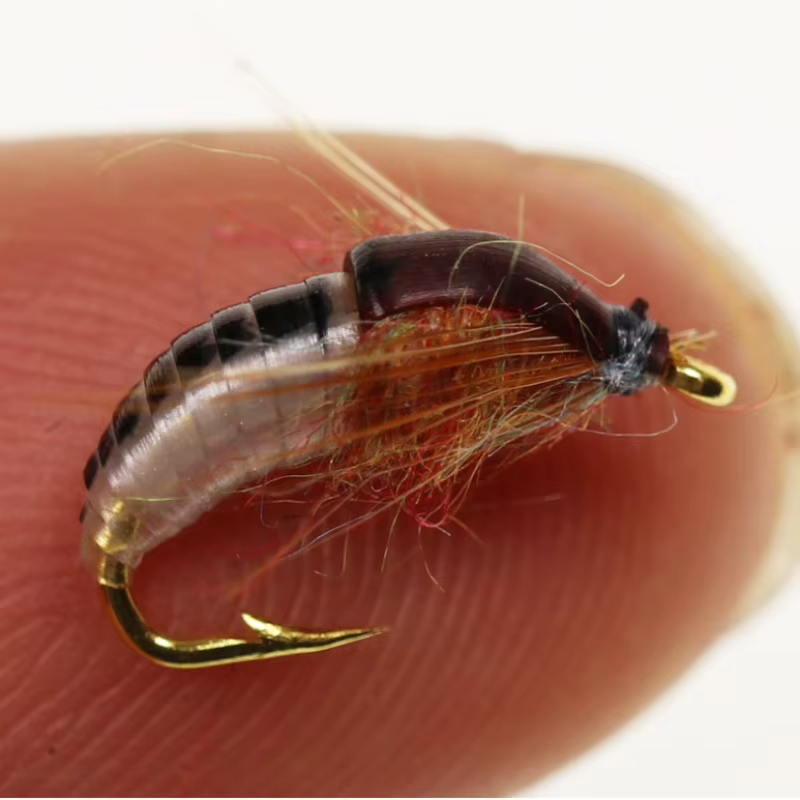 Anzuelo de ninfa artificial con púas para pesca de carpa - imagen 4