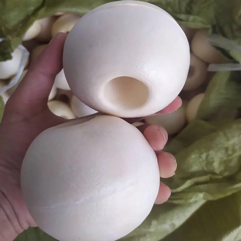 Bola flotante blanca espuma PVC Finefish para pesca en redes y jaulas - imagen 2