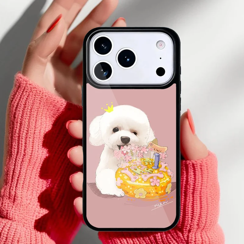Compatibilidad con diferentes modelos de iPhone