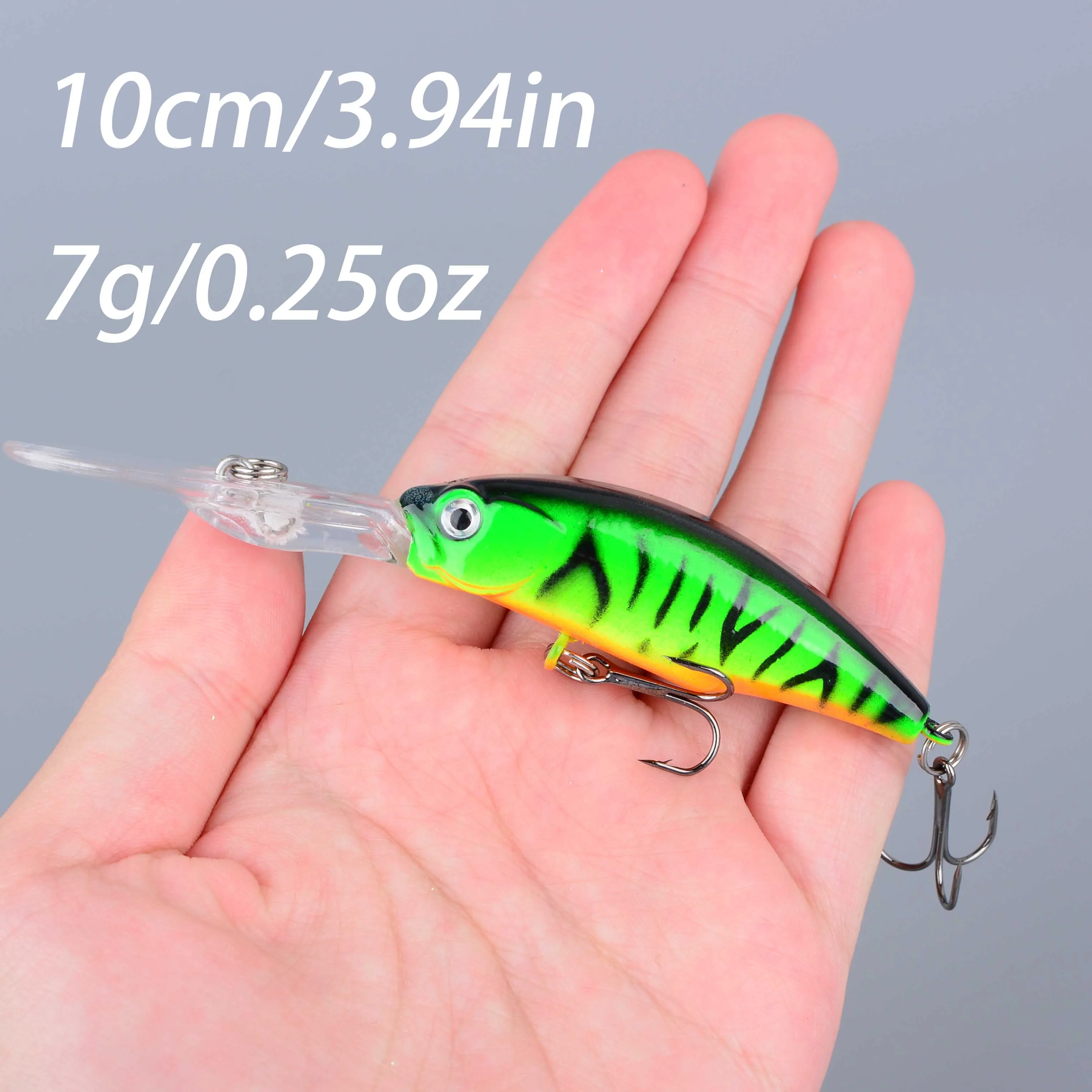Minnow de labio largo en acción