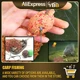 Kit de Pesca de Carpa con alimentadores en línea y molde - imagen 4