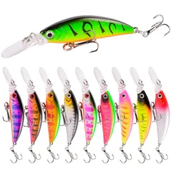 Aorace Crankbait hundible minnow para carpa y lubina – cebo duro