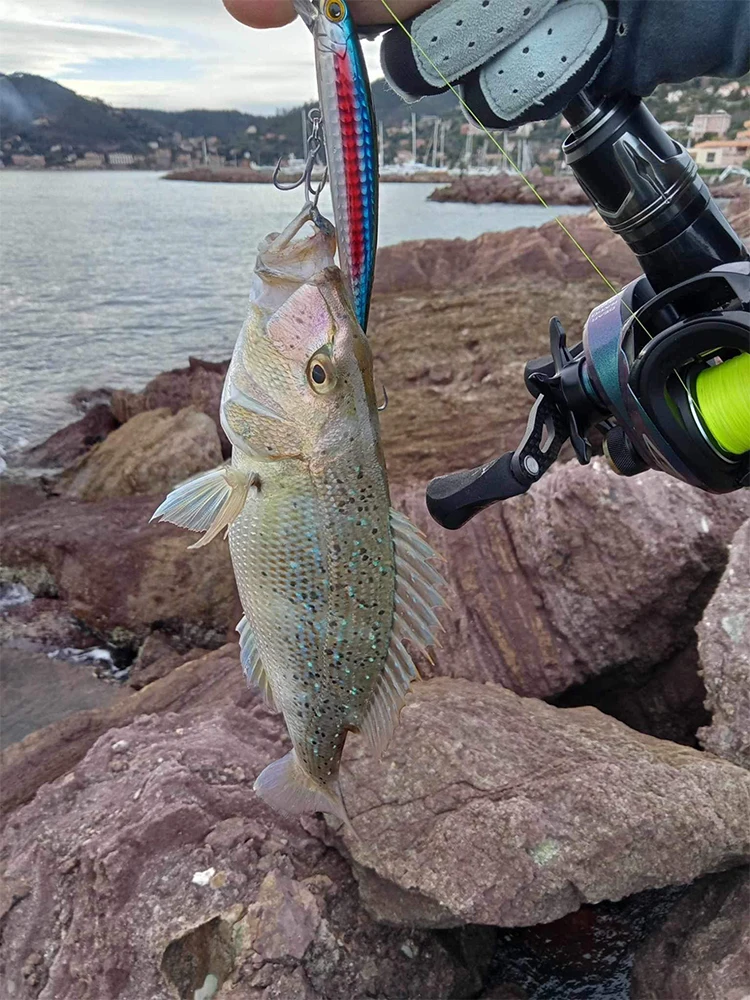 Señuelo KINGDOM SP Shadow Minnow en vista lateral