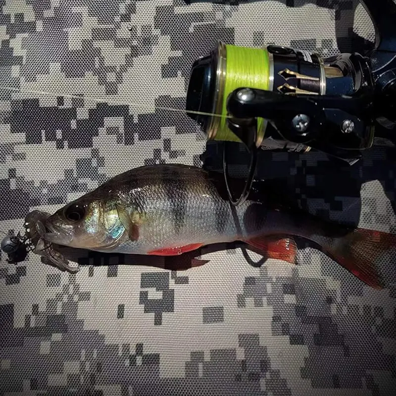 LEYDUN Líneas trenzadas PE 8 hebras, 300 m, para pesca marina y carpa - imagen 5