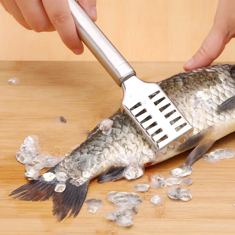 JOOYOO Desescamador de pescado acero inoxidable doble fila