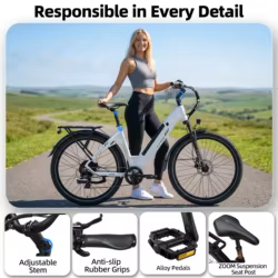 TTGO C5 Bicicleta eléctrica con frenos hidráulicos, LCD y suspensión