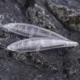 Dr.Holife señuelo tipo lápiz duro sin pintar para pesca - imagen 4