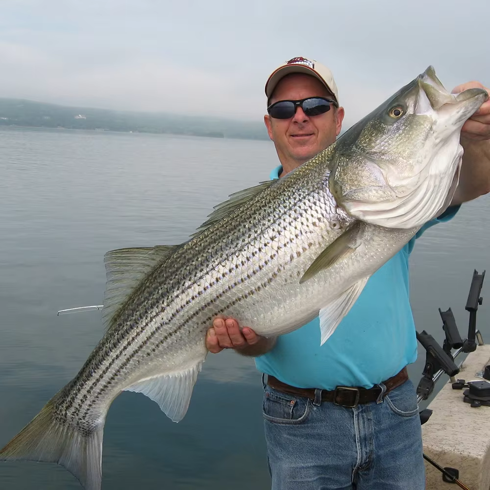 Jig Goture Fast Sinking listo para pesca en profundidad