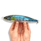 Ocea Pencil señuelo flotante para GT Sea Jiger AR-C - imagen 3