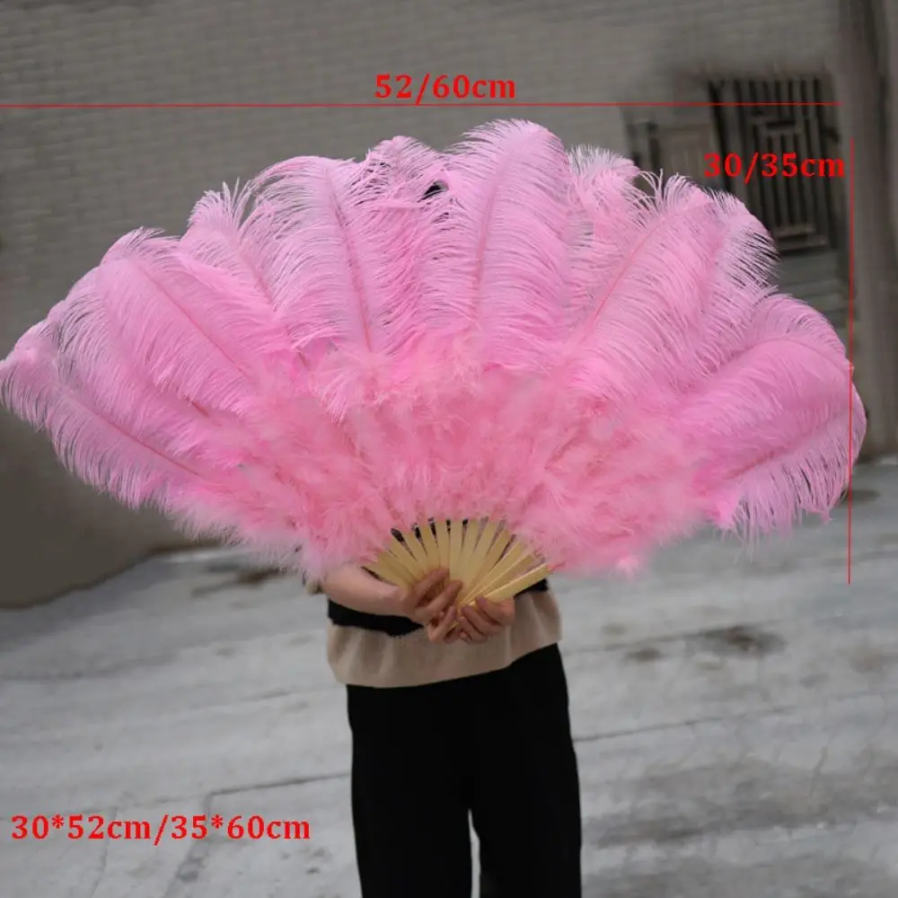 Abanico de plumas de avestruz en detalle