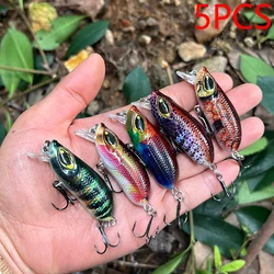 Kit Señuelos Flotantes Topwater – Wobblers para Lucio y Depredadores