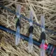 Wobblers Fishbait Buzzbait libélula señuelo tipo lápiz flotante