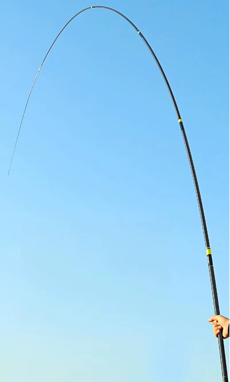 Caña de pescar lista para usar en pesca de esturión y carpa plateada