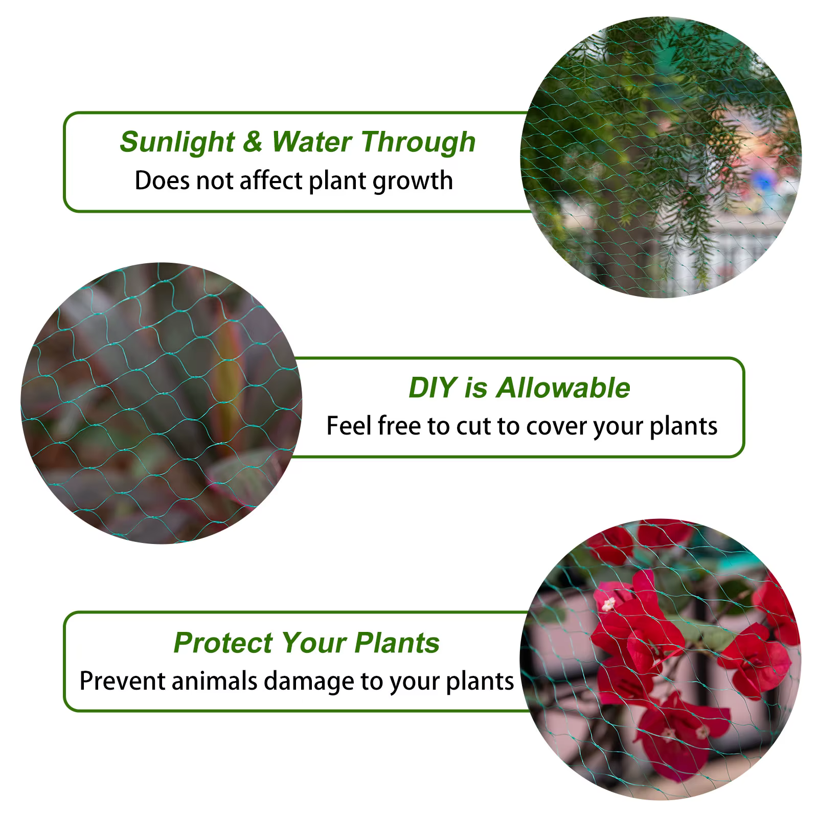 Malla Protectora Antipájaros y Antiplagas para Jardín, Frutales y Plantas - imagen 2