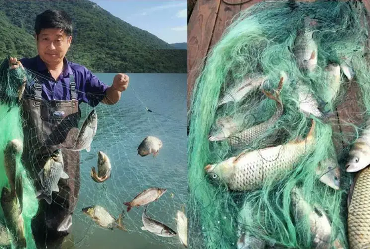 Red adhesiva de tres capas Lawaia en tono marrón para pesca versátil