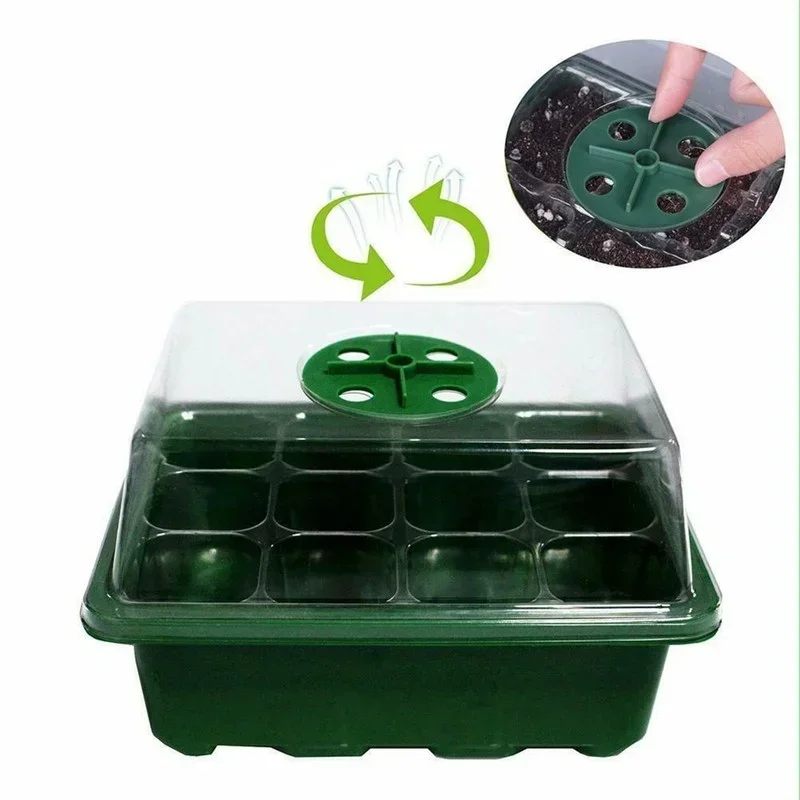 Bandeja germinación con tapa – Kit cultivo semillas para interior - imagen 3
