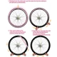 Cámaras de aire Ridenow TPU ultraligeras con válvula Presta - imagen 3