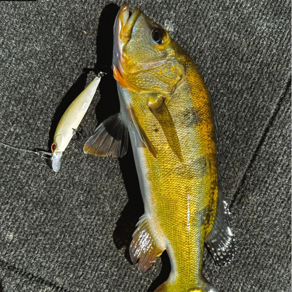Kit de señuelos para carpa: wobbler, jerkbait y swimbait - imagen 5