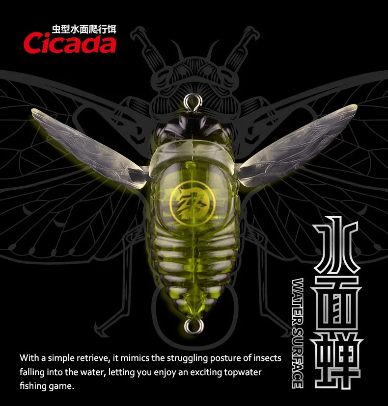 Detalle del señuelo Cicada topwater
