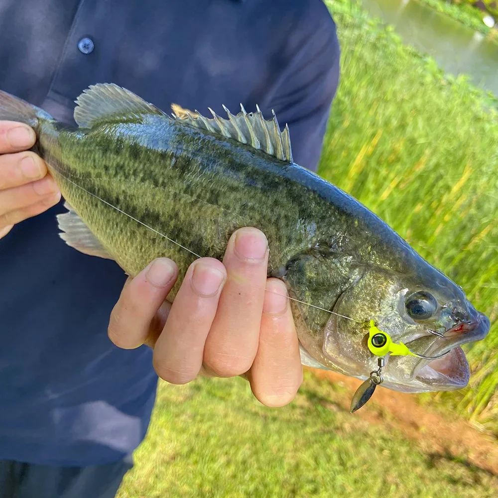 Jig head cuchara metálica con lentejuelas giratorias y cabeza plomada