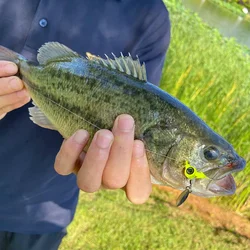 Jig head cuchara metálica con lentejuelas giratorias y cabeza plomada