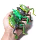 FREE FISHER Señuelo de rana de superficie – cebo blando - imagen 2