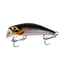 Señuelo Minnow para Lubina – Crankbait de plástico duro