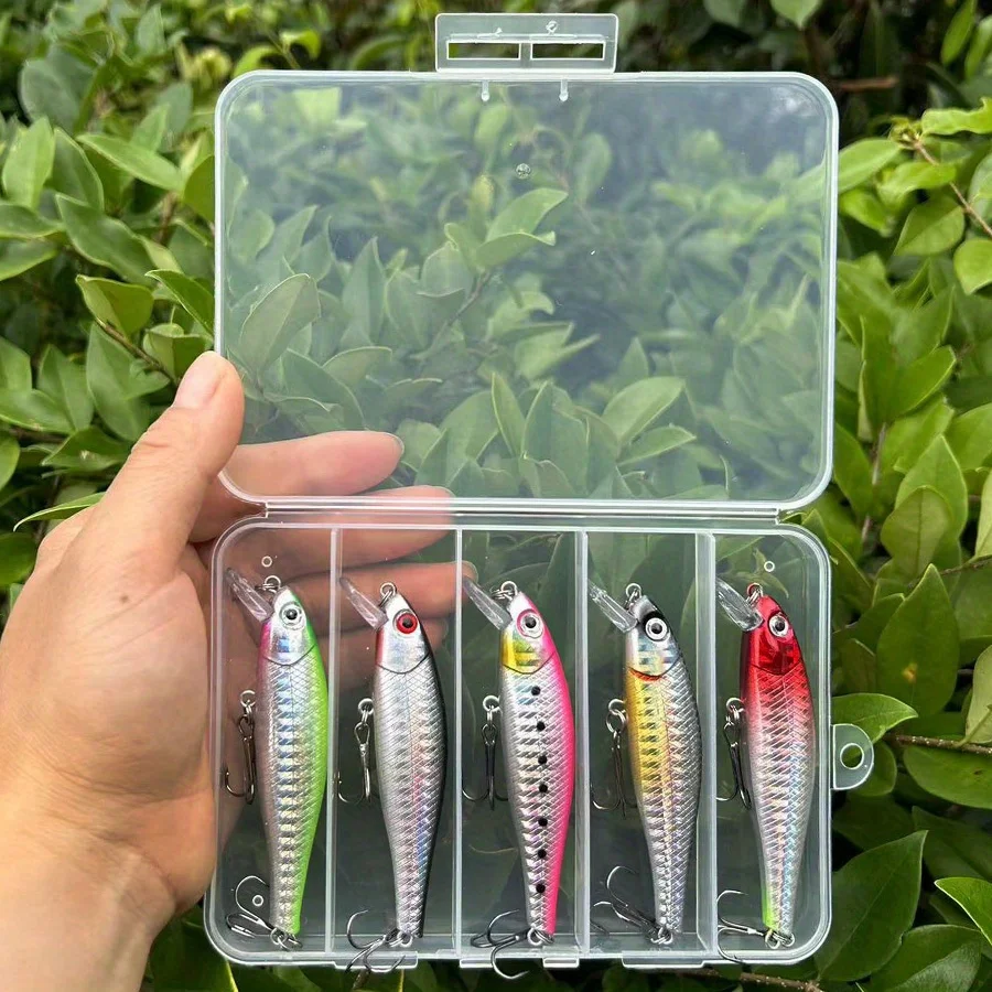 Variedad de colores en el pack de 5 señuelos