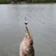 Plomos Cheburashka para Jig Head lisos con aroma para lubina - imagen 5