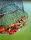 Red plegable para pesca de carpa y peces de fondo marinos - imagen 2