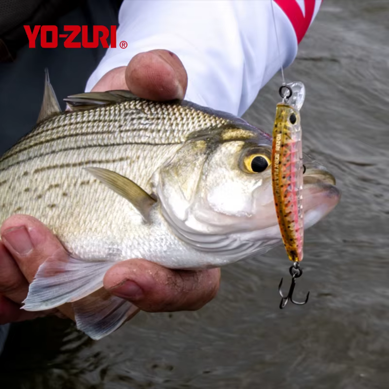 Señuelo Minnow Yo-Zuri 3DR-X – Sumergido Lanzamiento Largo para Lubina - imagen 3