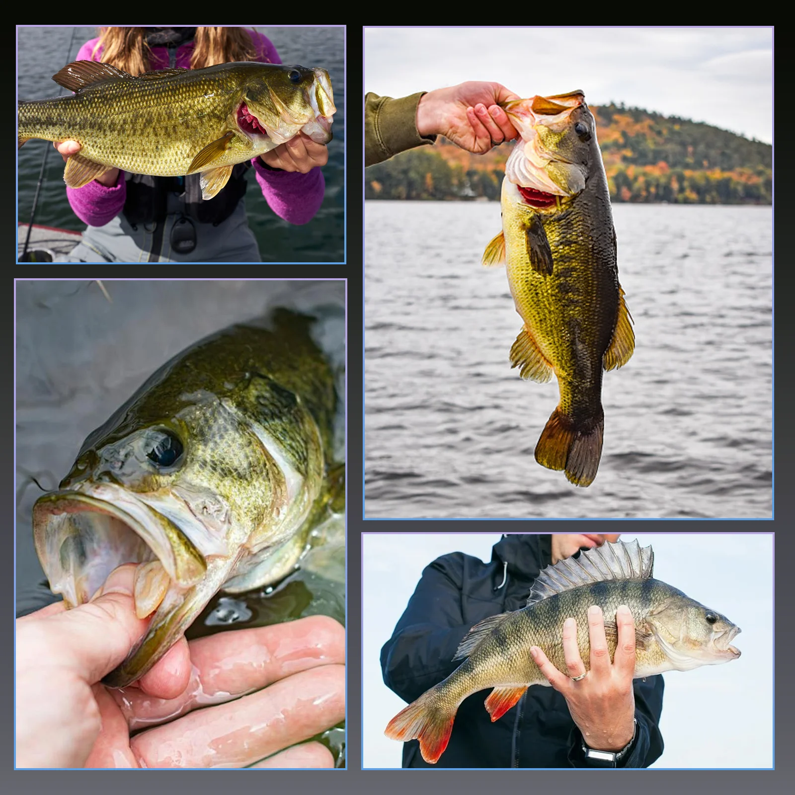 Anzuelos swimbait con triple Stinger y sistema antienredos para lubina - imagen 2