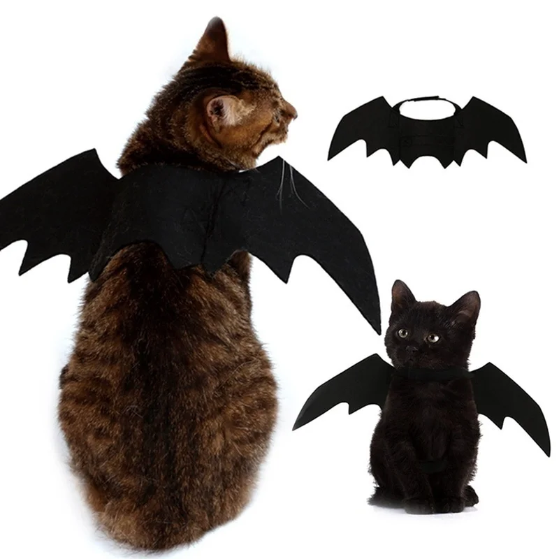 Gato con alas de murciélago negro