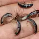 Anzuelo imitación insectos para carpa cruciana – agua dulce y salada - imagen 4