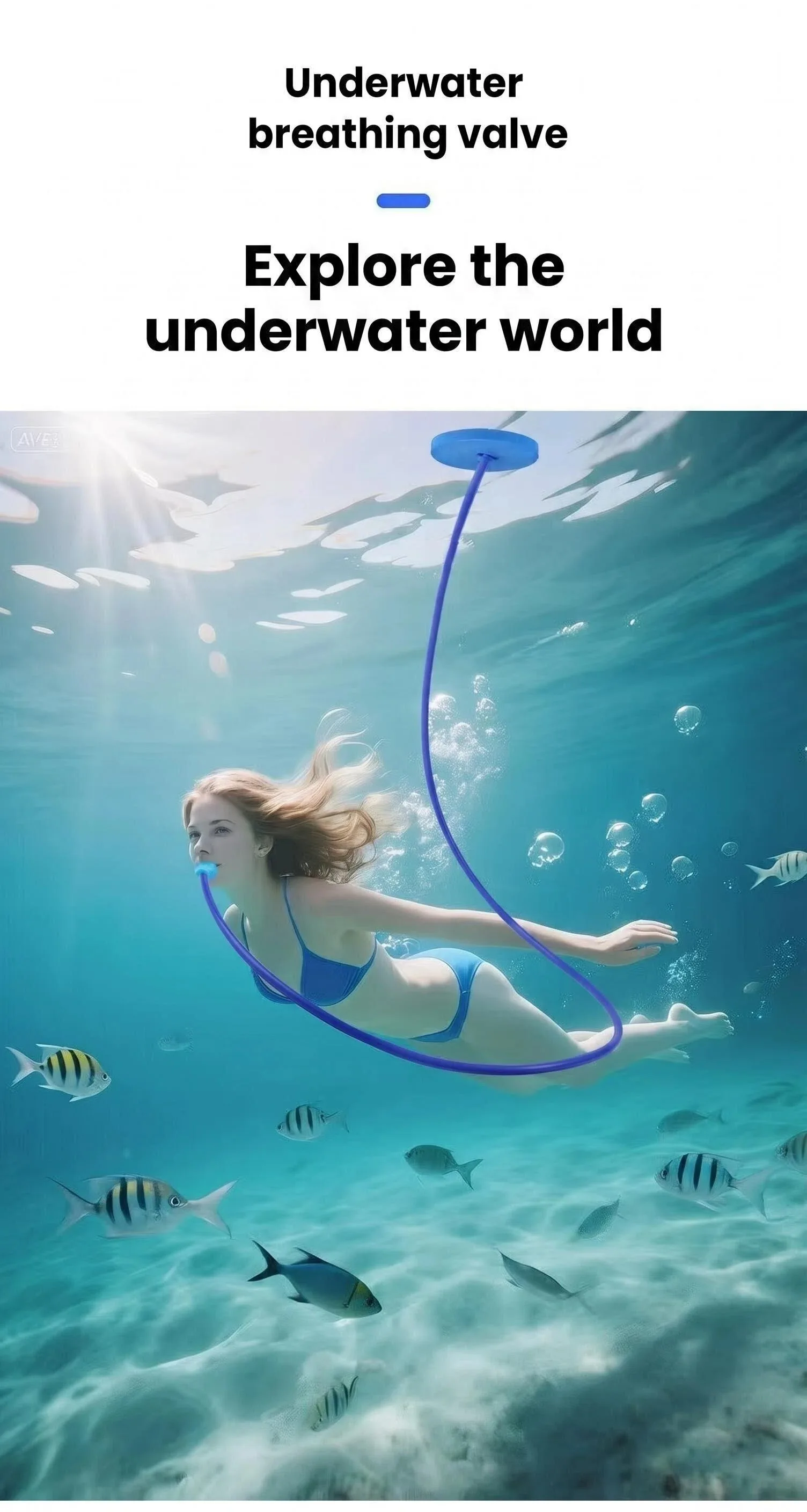 Vista del conjunto para entrenar snorkel